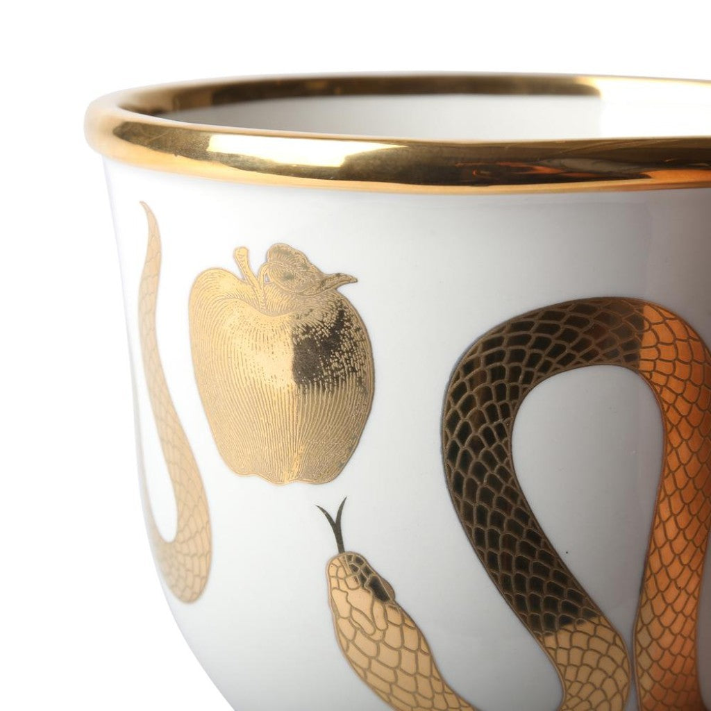 Snake & Apple Bowl